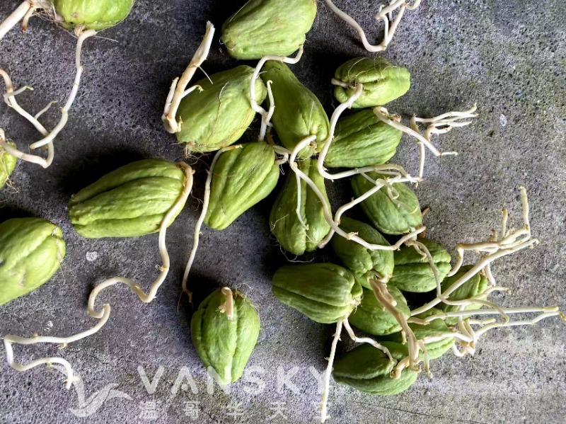 250419111748_WeChat Image_20250419141727.jpg